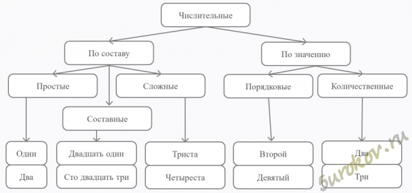 Числительные в русском языке классифицируются по составу и по значению