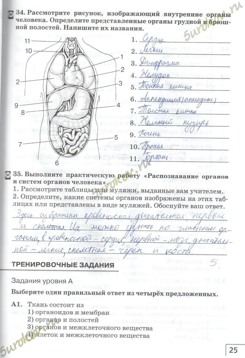 ГДЗ рабочая тетрадь по биологии 8 класс Сонин Агафонова, заполненная  тетрадь по биологии